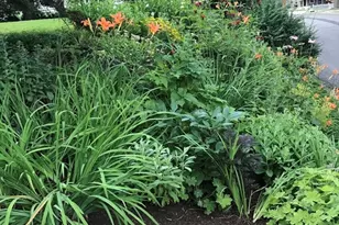 11 Lincoln St, Arlington, MA 02476 - Photo 33