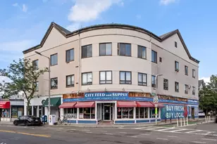 285 Chestnut Ave, Boston, MA 02130 - Photo 35