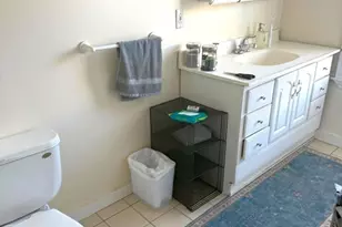 3 Paige Ave, Boston, MA 02127 - Photo 13