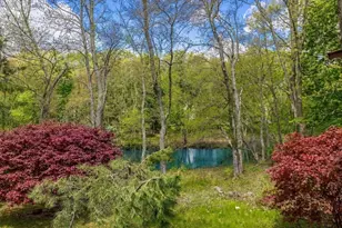 58 Solomon Pierce Rd, Lexington, MA 02420 - Photo 3