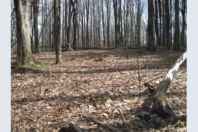 0 Mohawk Lake Rd, Stockbridge, MA 01262 - Photo 3