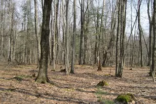 0 Mohawk Lake Rd, Stockbridge, MA 01262 - Photo 1