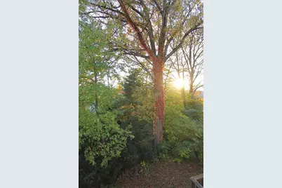 47 Lewis Street #2, Newton, MA 02458 - Photo 11