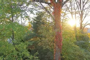 47 Lewis St, Newton, MA 02458 - Photo 11