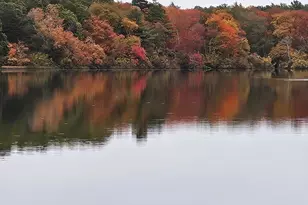 16 Francis St, Wareham, MA 02571 - Photo 29