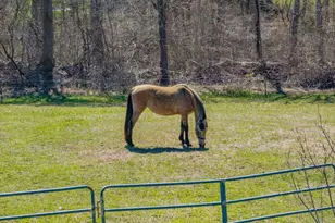 210 Charlotte White Rd, Westport, MA 02790 - Photo 3