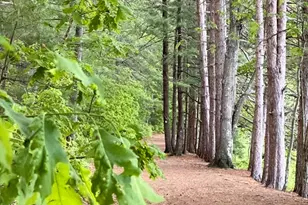 439 Lowell St, Andover, MA 01810 - Photo 29