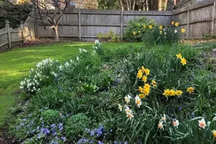 11 Kent Square, Brookline, MA 02446 - Photo 9