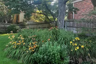 11 Kent Square, Brookline, MA 02446 - Photo 11