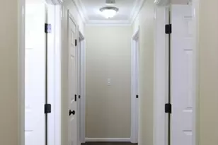 6 Guild St, Boston, MA 02119 - Photo 9