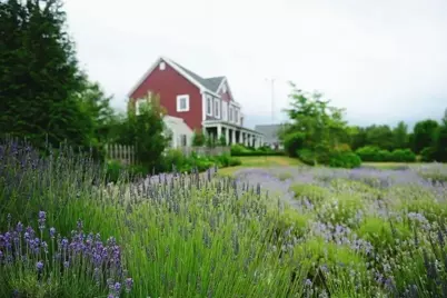 171 Pine Hill Rd, Westport, MA 02790 - Photo 5