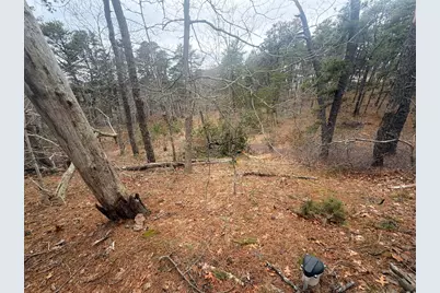 60 Perch Pond Way, Wellfleet, MA 02667 - Photo 7