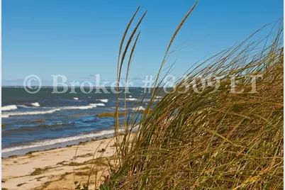 102 Fletcher Ln #H, Brewster, MA 02631 - Photo 21