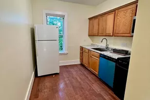 22 Anita Terrace, Boston, MA 02119 - Photo 7