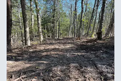 462 Old North Road, Worthington, MA 01098 - Photo 3