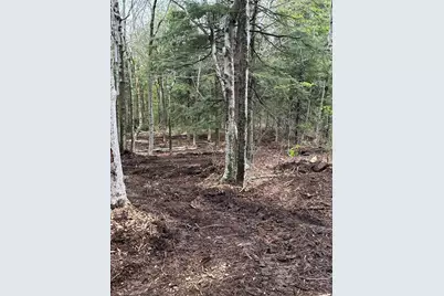 462 Old North Road, Worthington, MA 01098 - Photo 11