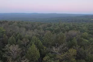 462 Old North Rd, Worthington, MA 01098 - Photo 1