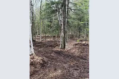 462 Old North Road, Worthington, MA 01098 - Photo 11
