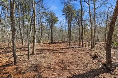 0 Old Long Pond Road, Brewster, MA 02631 - Photo 3
