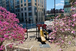 2 Earhart, Cambridge, MA 02141 - Photo 21