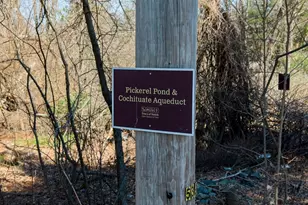 48 Bradford Rd, Natick, MA 01760 - Photo 5