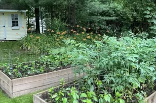 70 Salem Rd, Longmeadow, MA 01106 - Photo 37