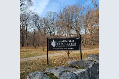 21 Conway Street #1, Boston, MA 02131 - Photo 15