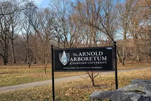 21 Conway St, Boston, MA 02131 - Photo 15