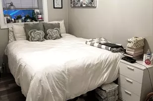 18 Knowlton St, Boston, MA 02127 - Photo 27