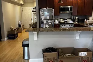 18 Knowlton St, Boston, MA 02127 - Photo 9