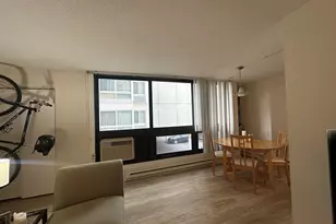 45 Trowbridge, Cambridge, MA 02138 - Photo 13