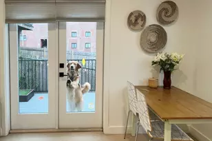 360 Meridian St, Boston, MA 02128 - Photo 5