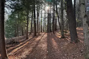 327 Chester Rd, Becket, MA 01223 - Photo 39