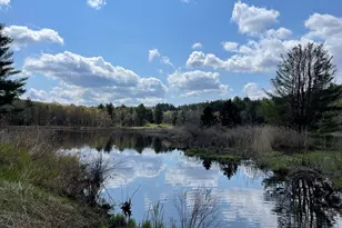 327 Chester Rd, Becket, MA 01223 - Photo 41