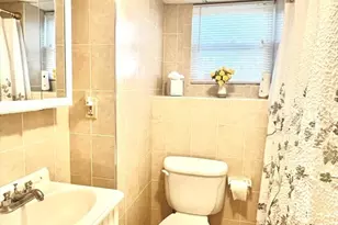 5 Fred St, Burlington, MA 01803 - Photo 33