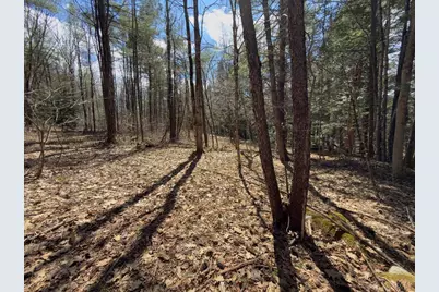 151 Ashfield Road, Williamsburg, MA 01096 - Photo 7