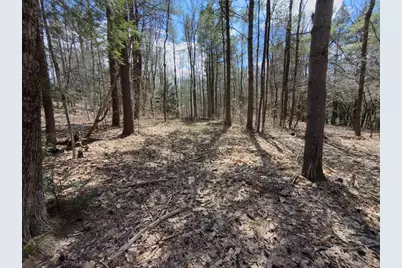 151 Ashfield Road, Williamsburg, MA 01096 - Photo 5