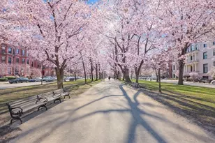 212 Commonwealth Ave, Boston, MA 02116 - Photo 35