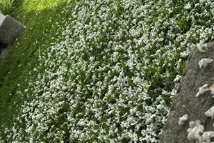 15 Clark Rd, Ipswich, MA 01938 - Photo 33