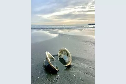 164 Wilson #2, Nahant, MA 01908 - Photo 7