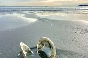 164 Wilson, Nahant, MA 01908 - Photo 7