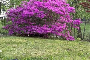 43 Locust St, Bellingham, MA 02019 - Photo 23