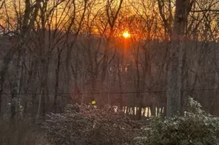 43 Locust St, Bellingham, MA 02019 - Photo 25