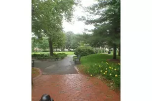 55 Magazine St, Cambridge, MA 02139 - Photo 23