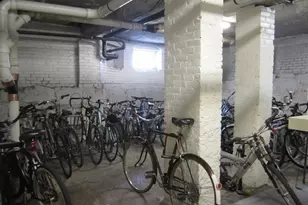 55 Magazine St, Cambridge, MA 02139 - Photo 21