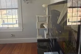 376 Cabot, Beverly, MA 01915 - Photo 21