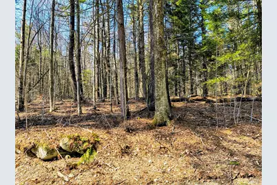 Lot 16 Porcupine Courts, Becket, MA 01223 - Photo 1