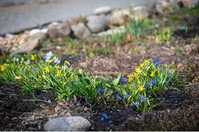 84-A Granite St #84A, Rockport, MA 01966 - Photo 25