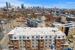 27 Guild St, Boston, MA 02119 - Photo 29