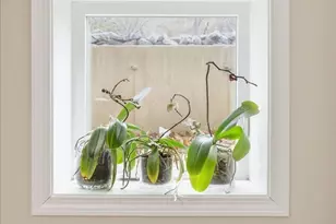 67 Ling St, Fall River, MA 02720 - Photo 31